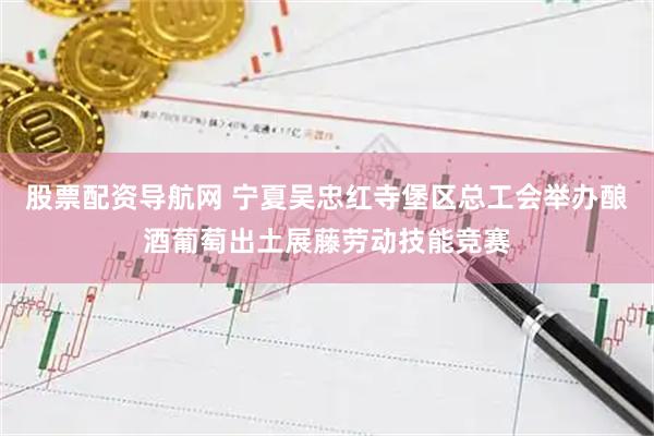 股票配资导航网 宁夏吴忠红寺堡区总工会举办酿酒葡萄出土展藤劳动技能竞赛
