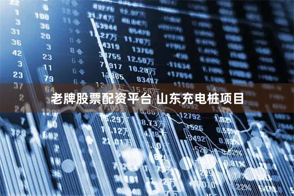 老牌股票配资平台 山东充电桩项目